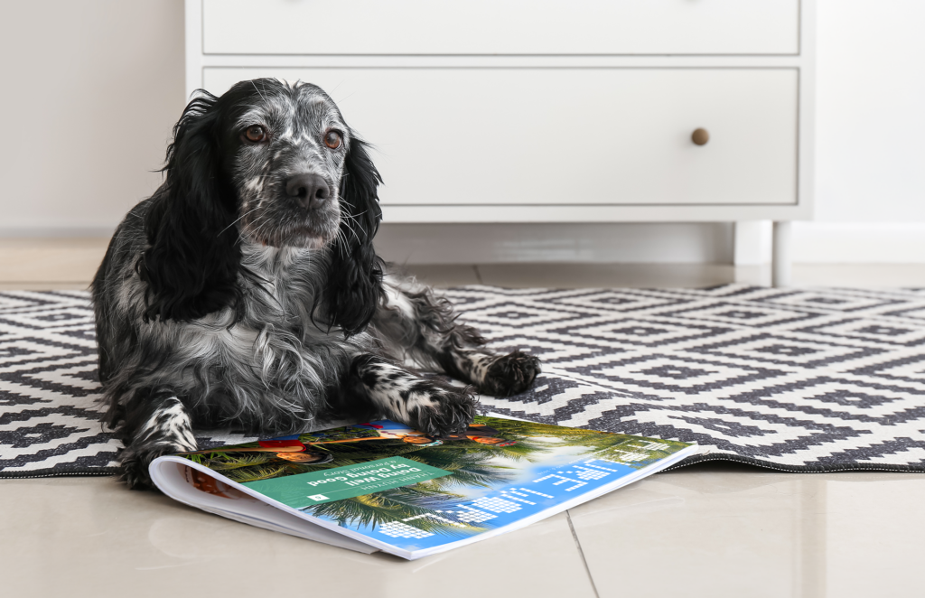 AdobeStock_438477617_Crop